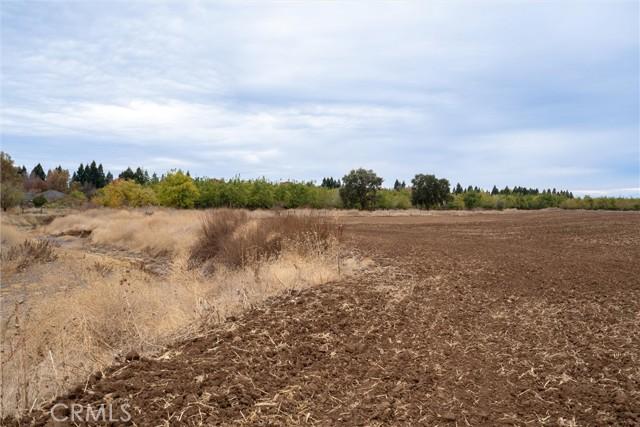 Chico, California, 95973, United States, ,Land,For Sale,1981972