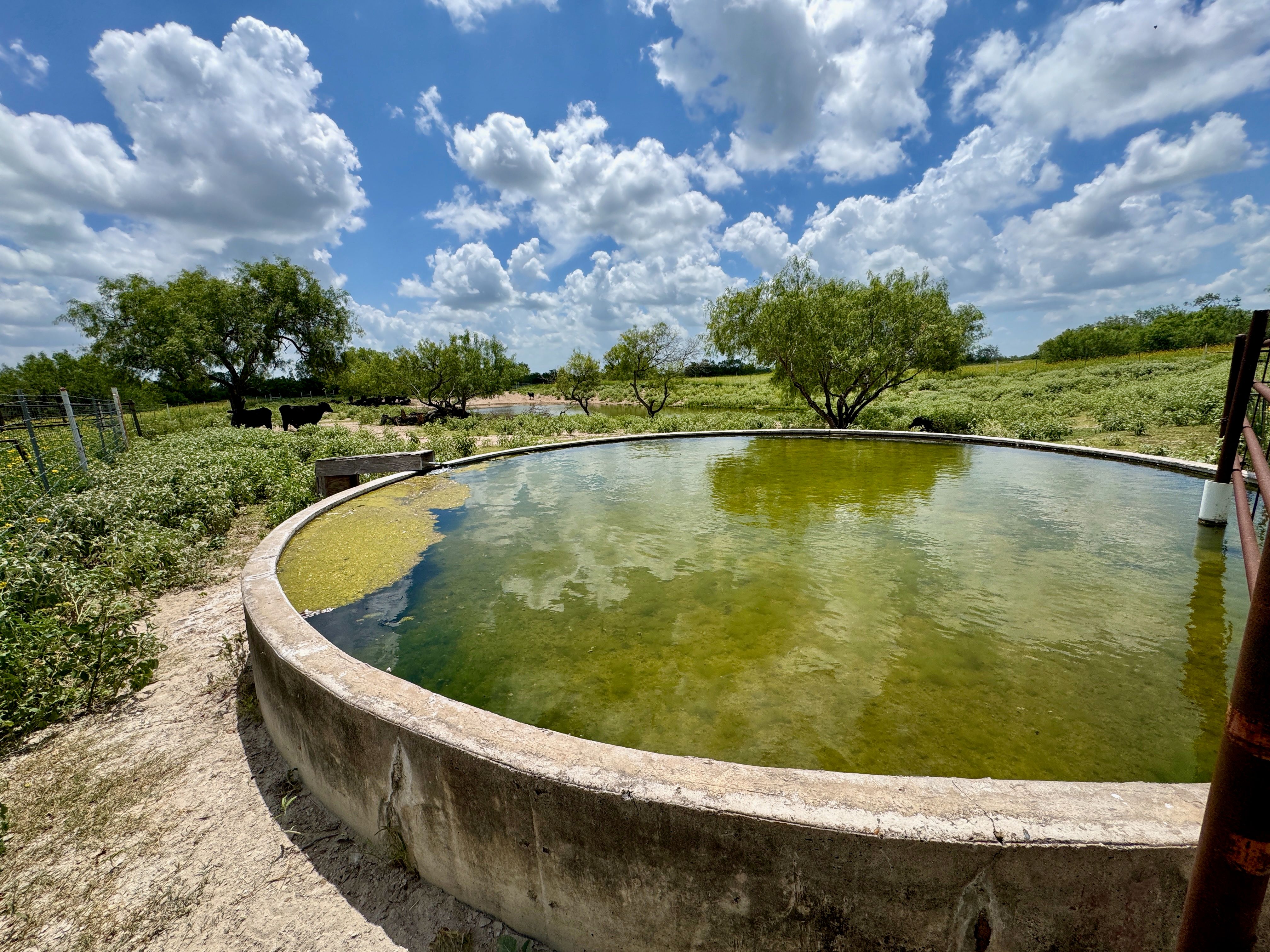  Mesquite Tree Ranch - 物件實景