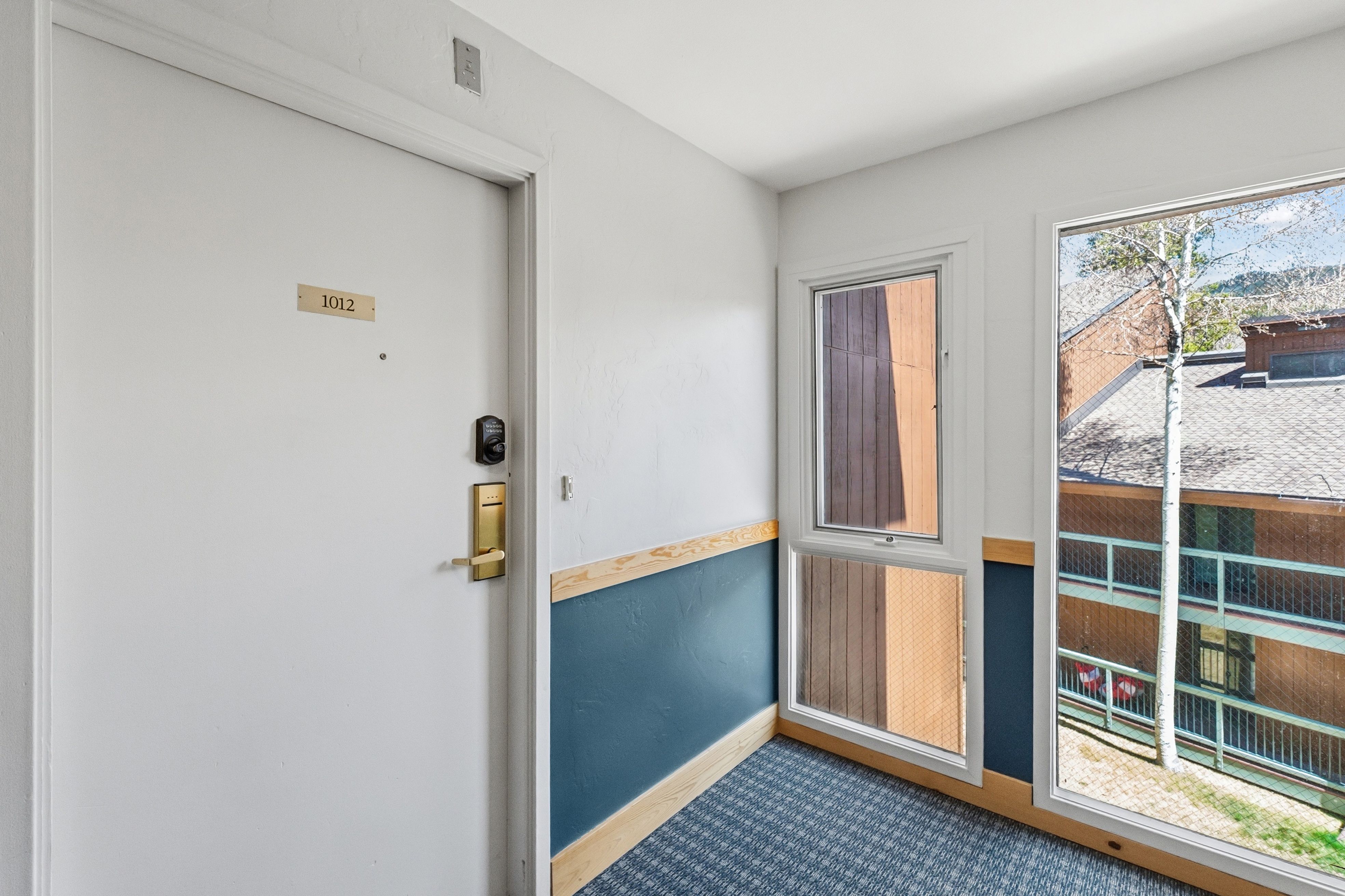  423 Wild Irishman Road, Dillon, CO, 80435 - 物件實景