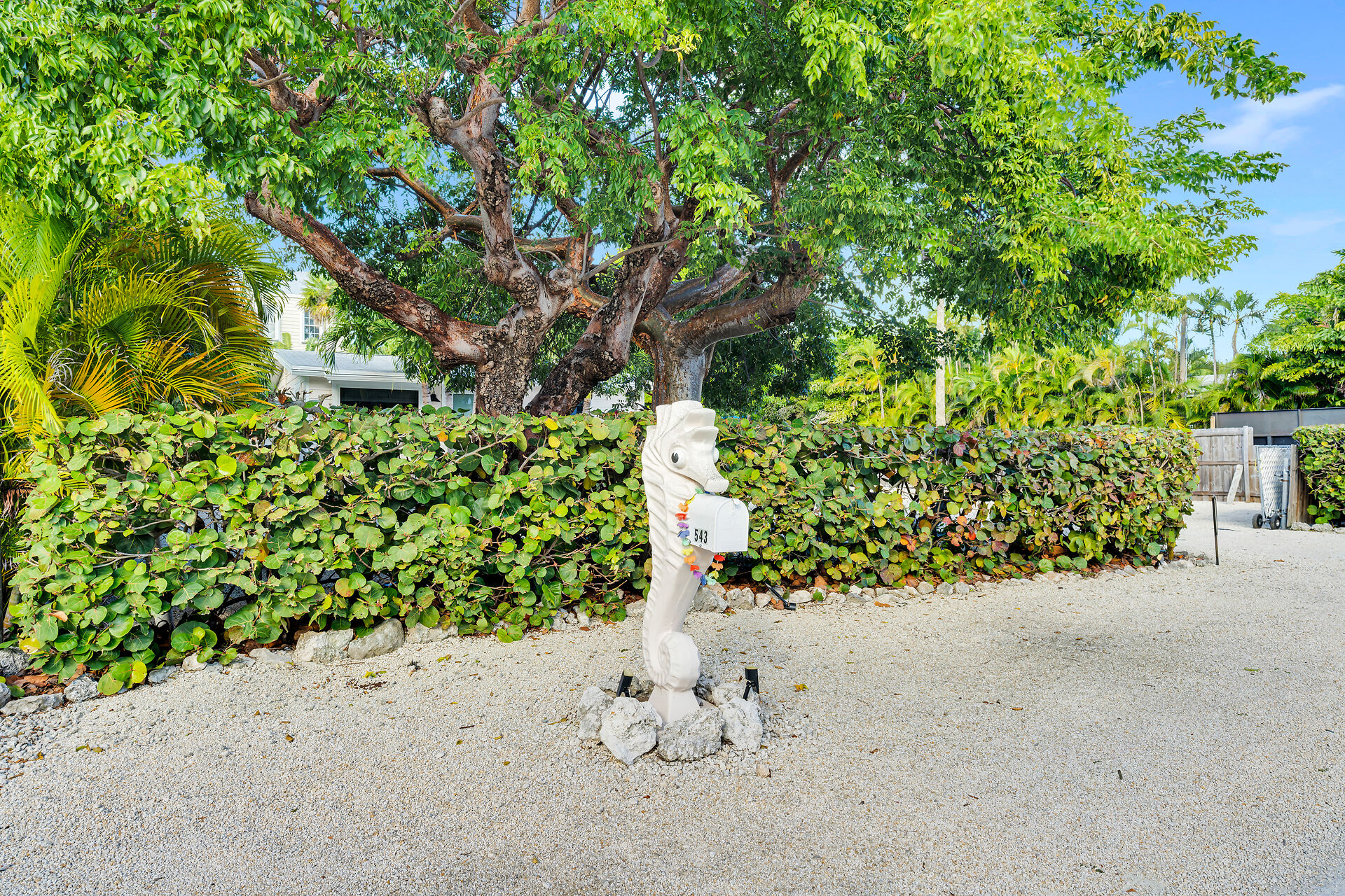  543 74th Street - 物件實景
