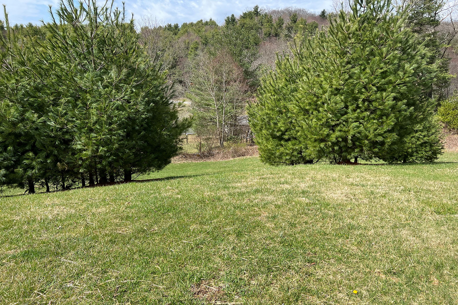  CRAIG FOREST - BLOWING ROCK - 物件實景
