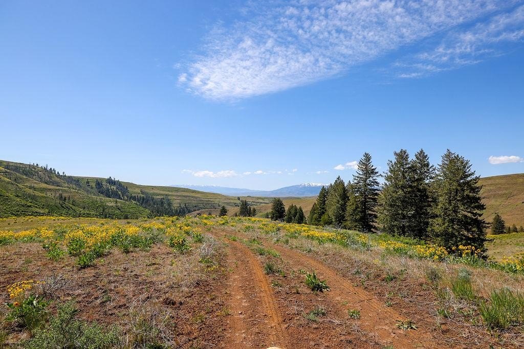 Council, Idaho, 83612, United States, ,Residential,For Sale,1935833