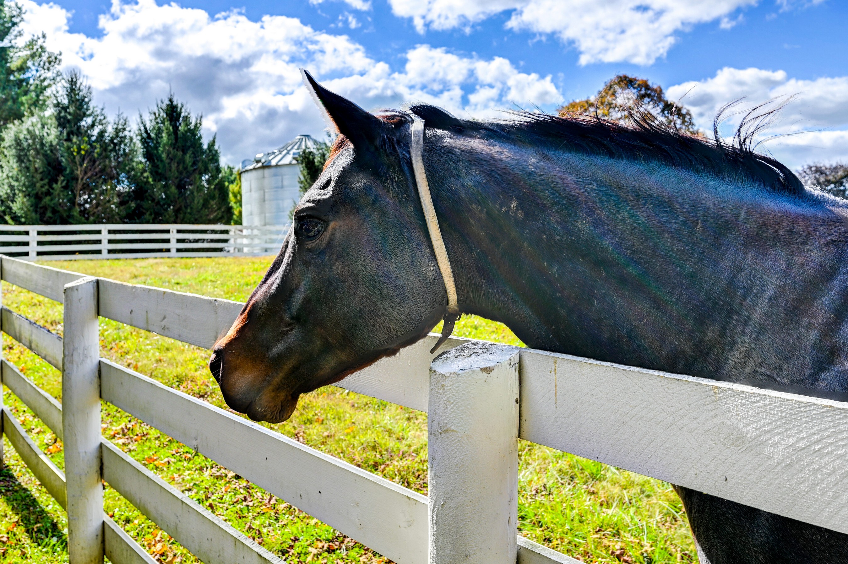  Worthington Valley - 物件實景