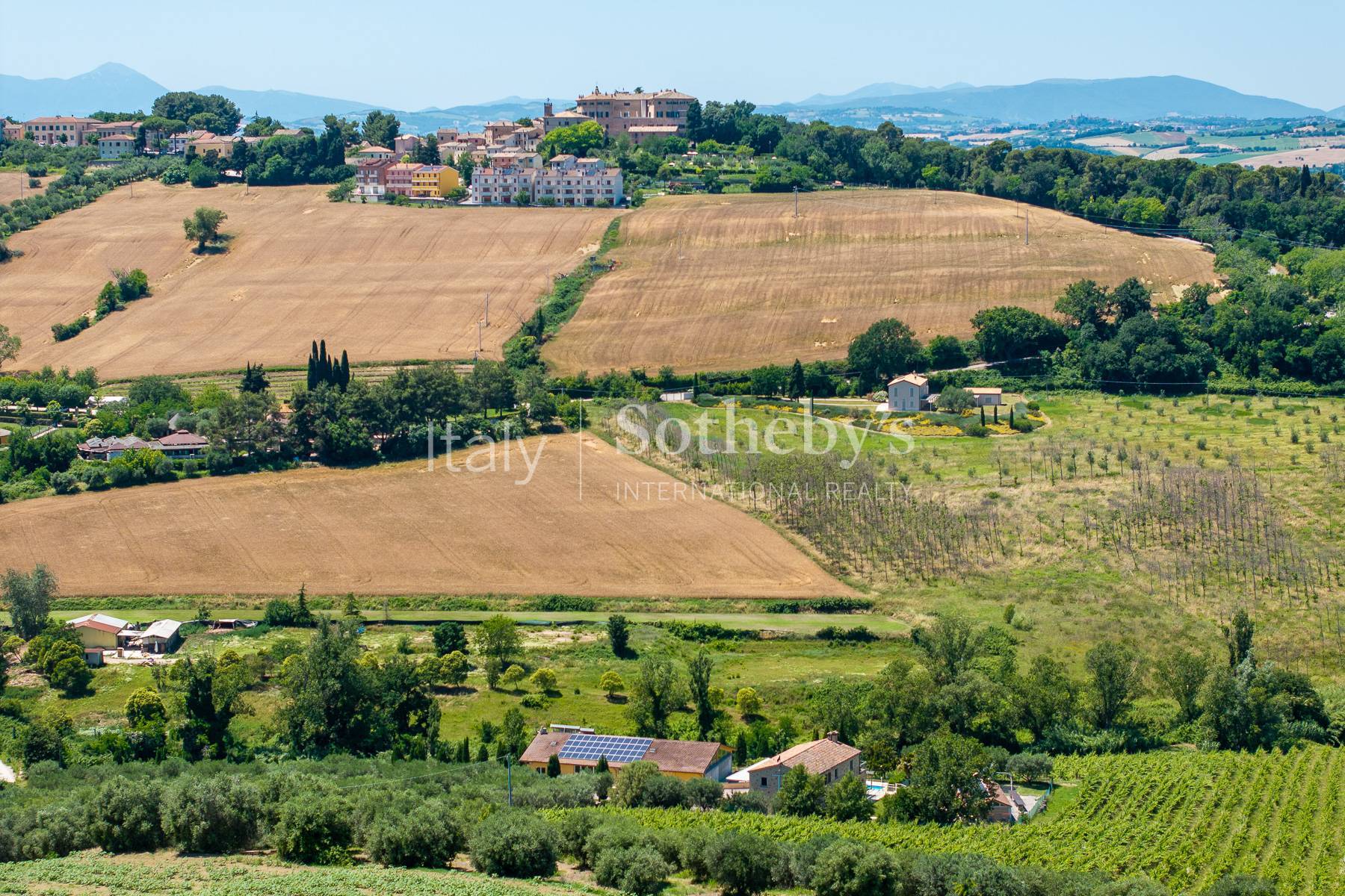  Elegant Contemporary Residence with Vineyard Near the Sea - 物件實景