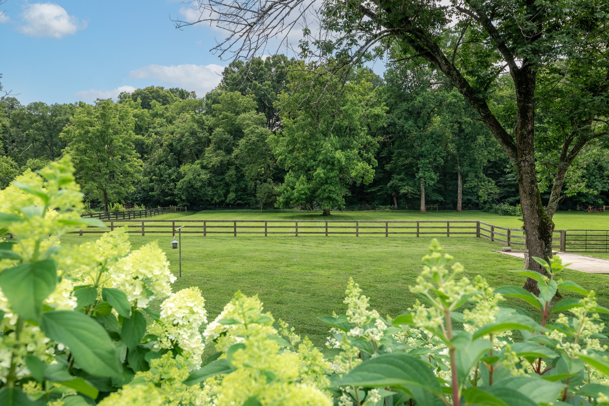  4439 Harpeth School Road, Franklin, TN 37064 - 物件實景