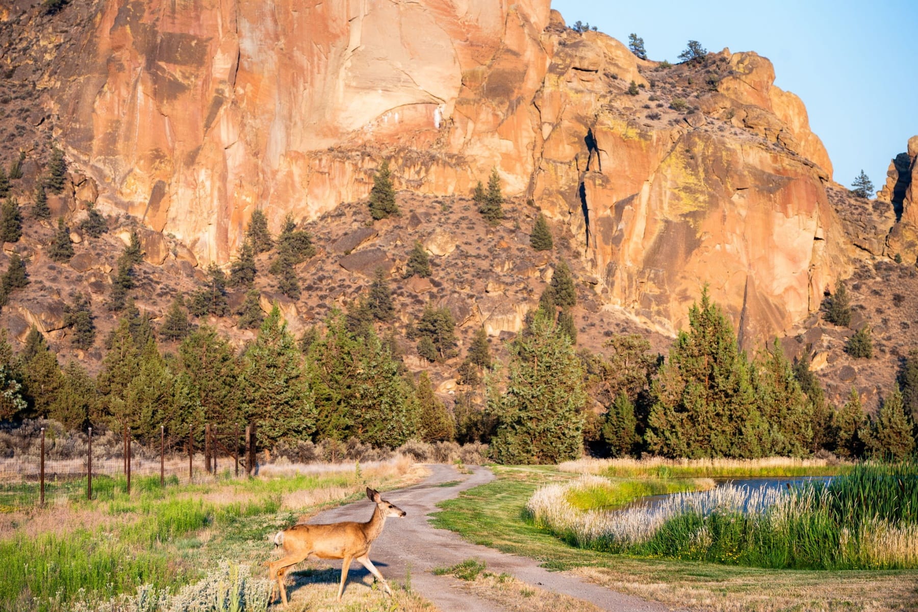  11330 NE Canyons Ranch Drive #LH 13 Terrebonne, OR 97760 - 物件實景