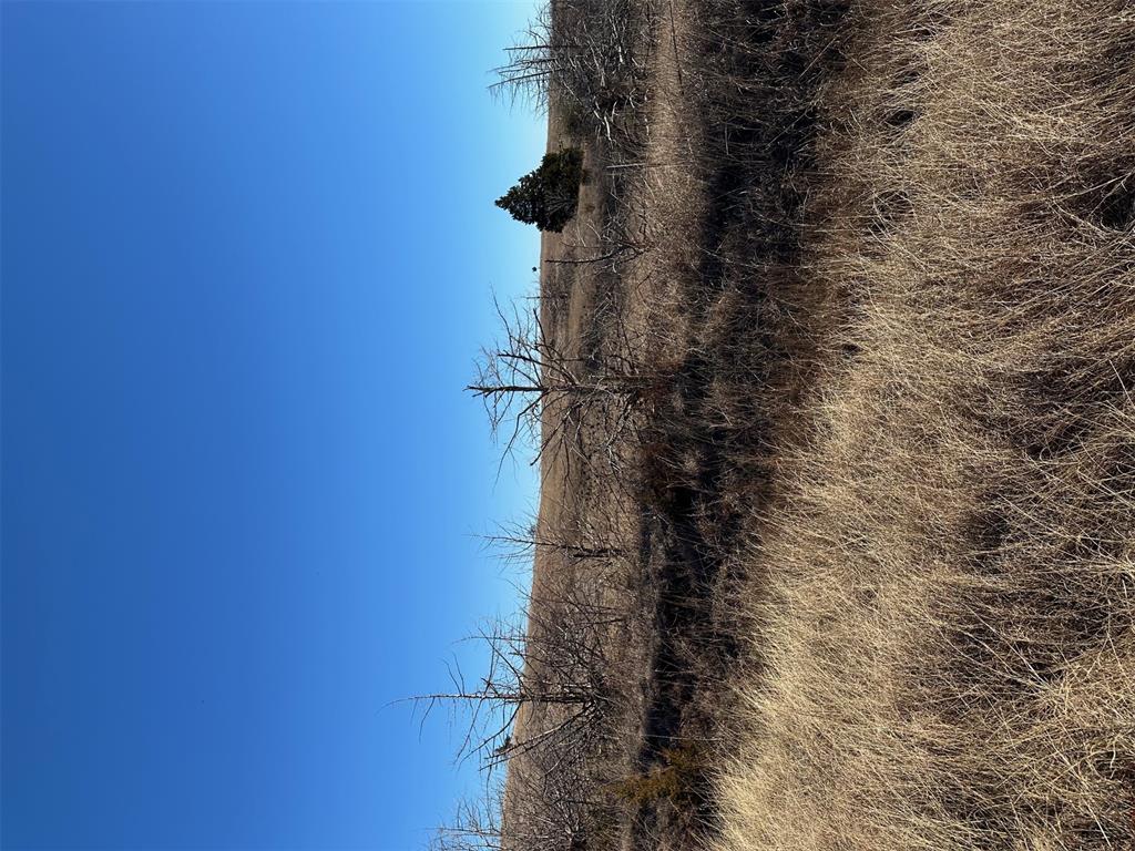 Meridian, Oklahoma, 73058, United States, ,Land,For Sale,2009056