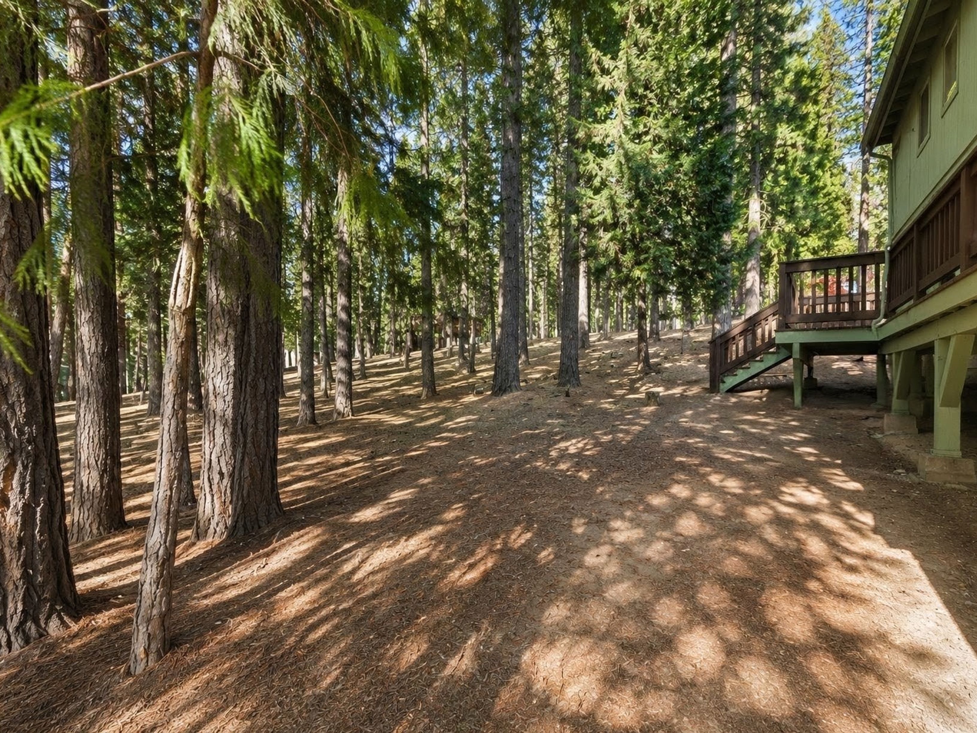  5690 Lupin Lane, Pollock Pines, CA 95726 - 物件實景