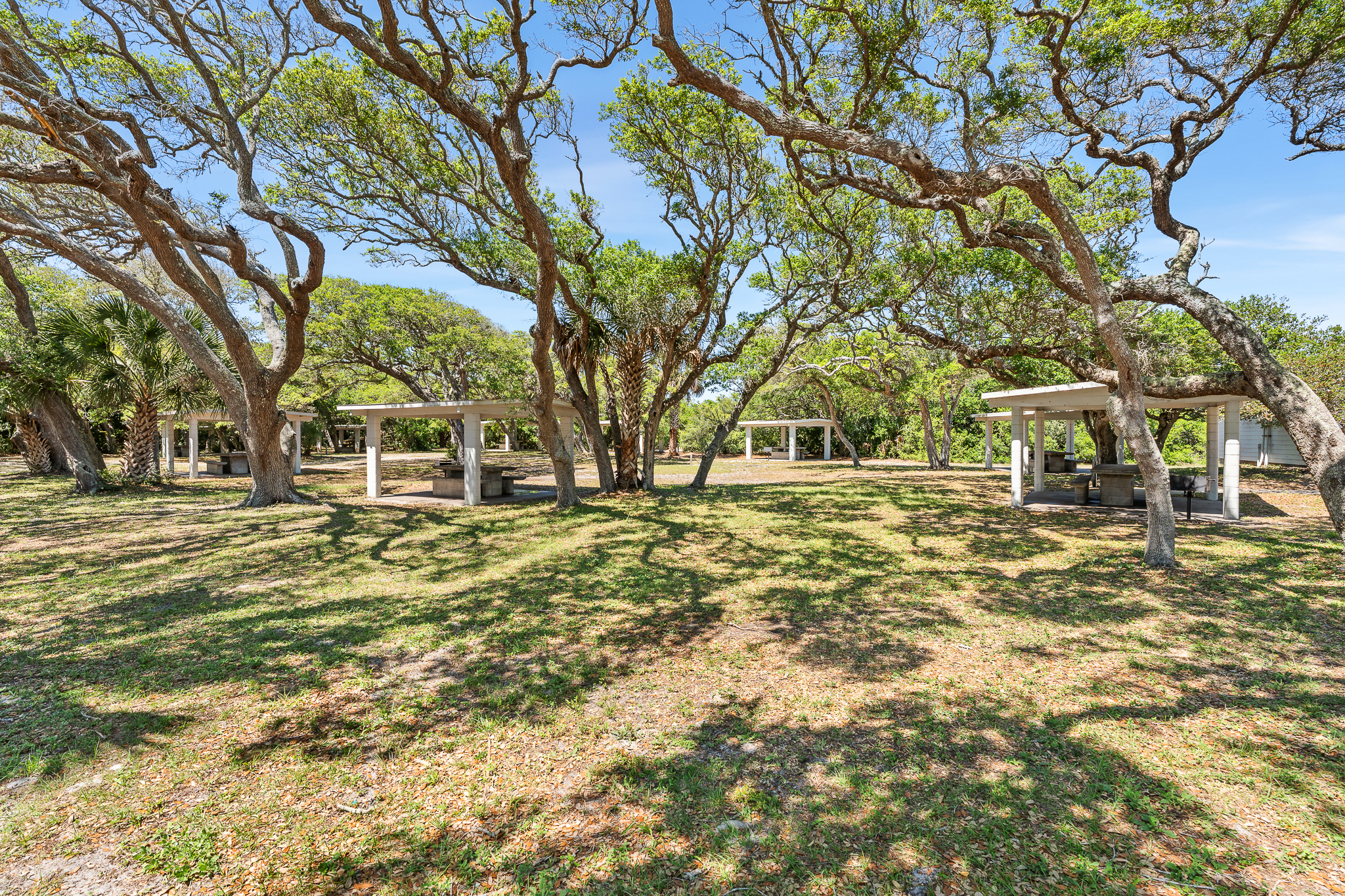  24 Flamingo Dr, St Augustine, FL, 32080 - 物件實景