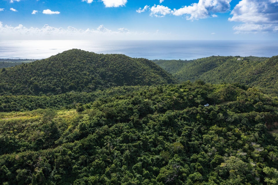 St. Croix, Virgin Islands, 00840, VI, ,Land,For Sale,1792958