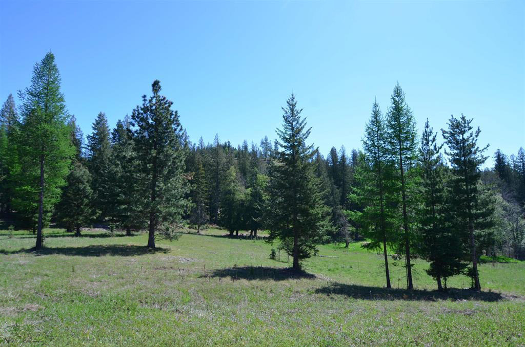 Sagle, Idaho, 83860, United States, ,Land,For Sale,1980438