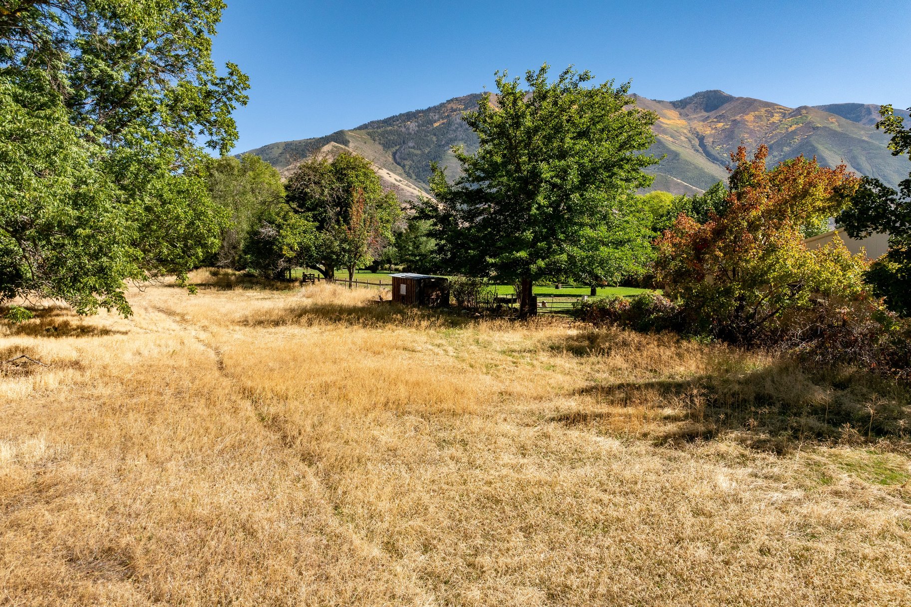  1 Acre in Mapleton off of Main Street - 物件實景