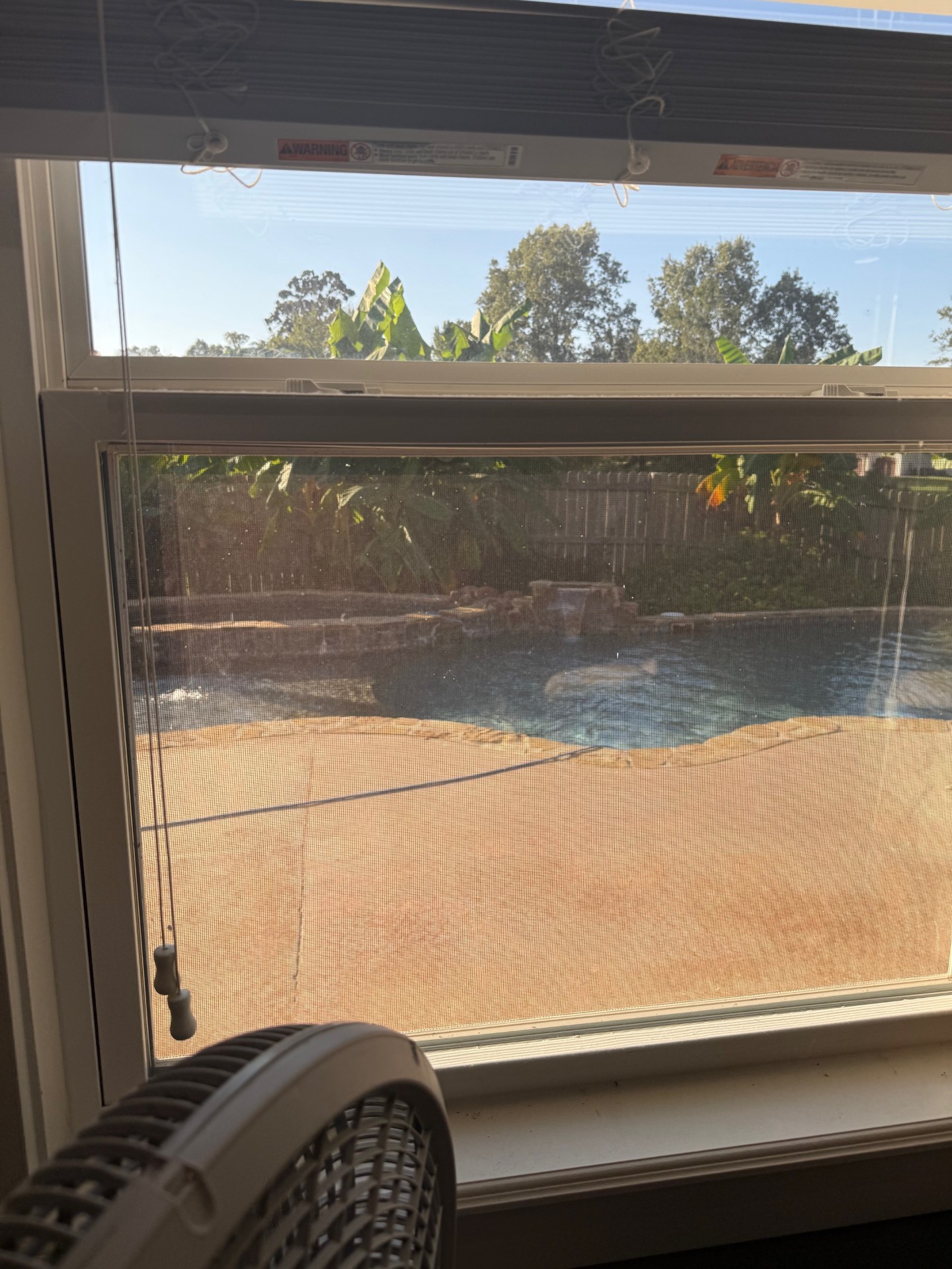 Many, Louisiana, 71449, United States, 4 Bedrooms Bedrooms, ,3 BathroomsBathrooms,Residential,For Sale,1984388