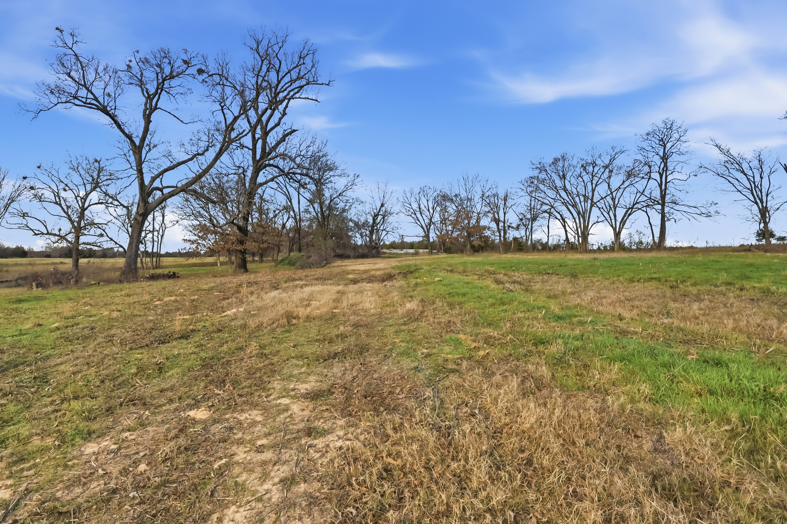 Quitman, Texas, 75783, United States, ,Land,For Sale,2013109