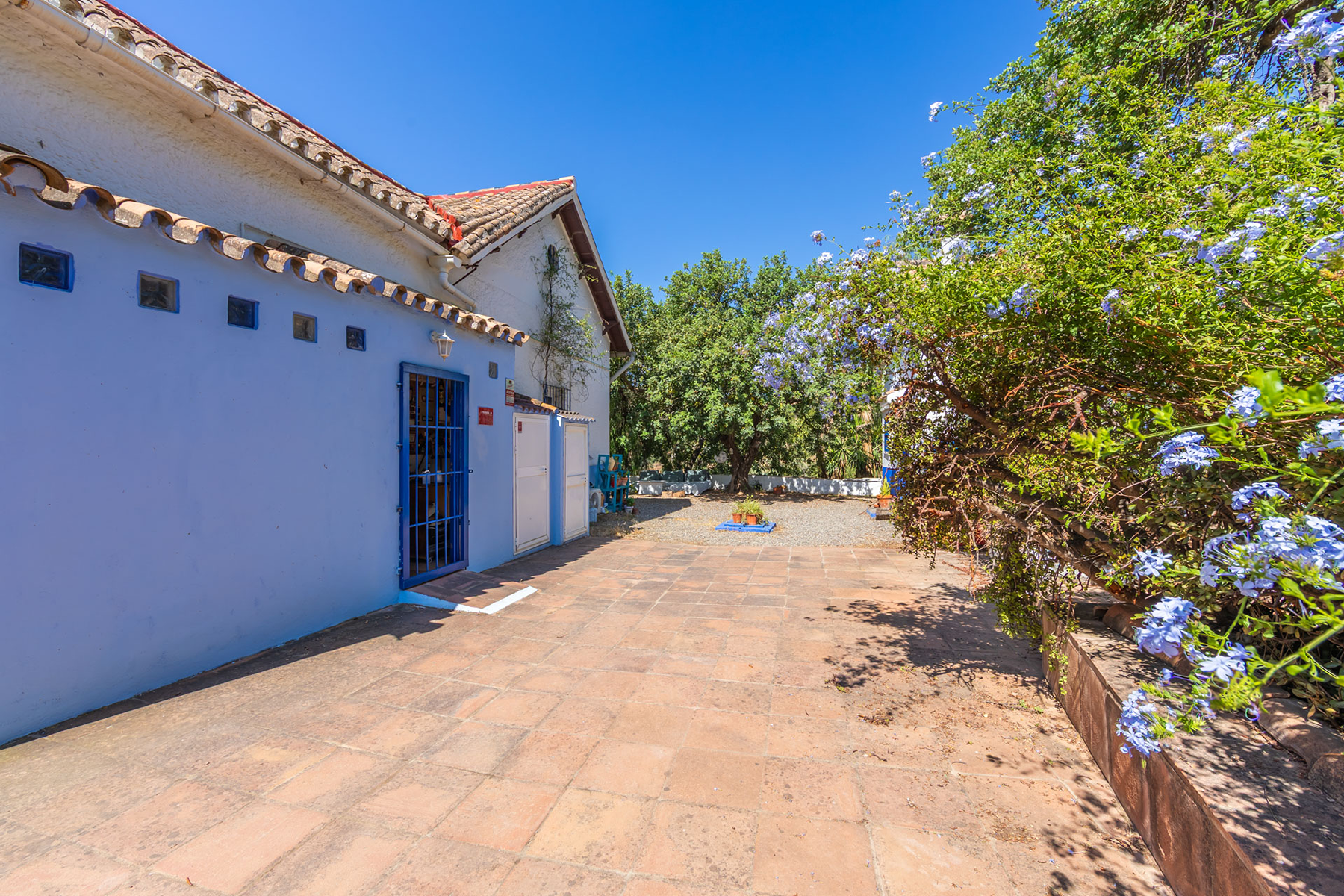  Colonial villa with olive farm near Montes de Málaga Natural Park - 物件實景
