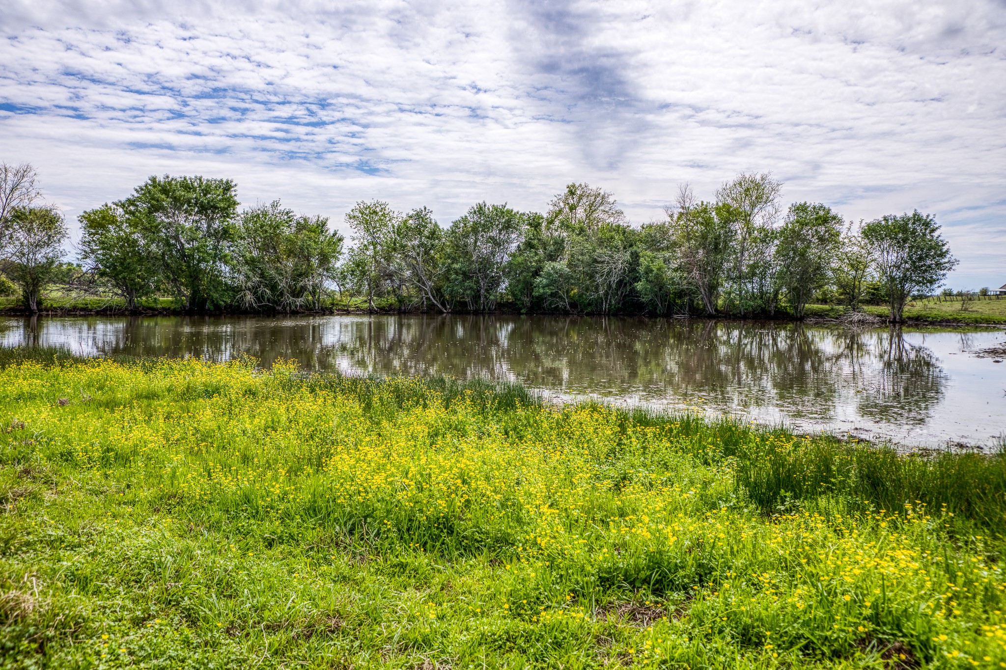  20751 Fm 1155, Washington, TX, 77880 - 物件實景