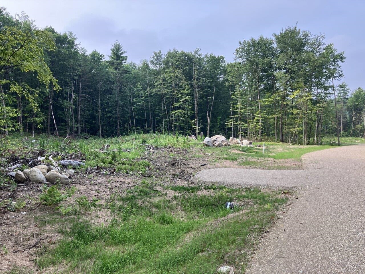 Leicester, Vermont, 05733, United States, ,Land,For Sale,1916983