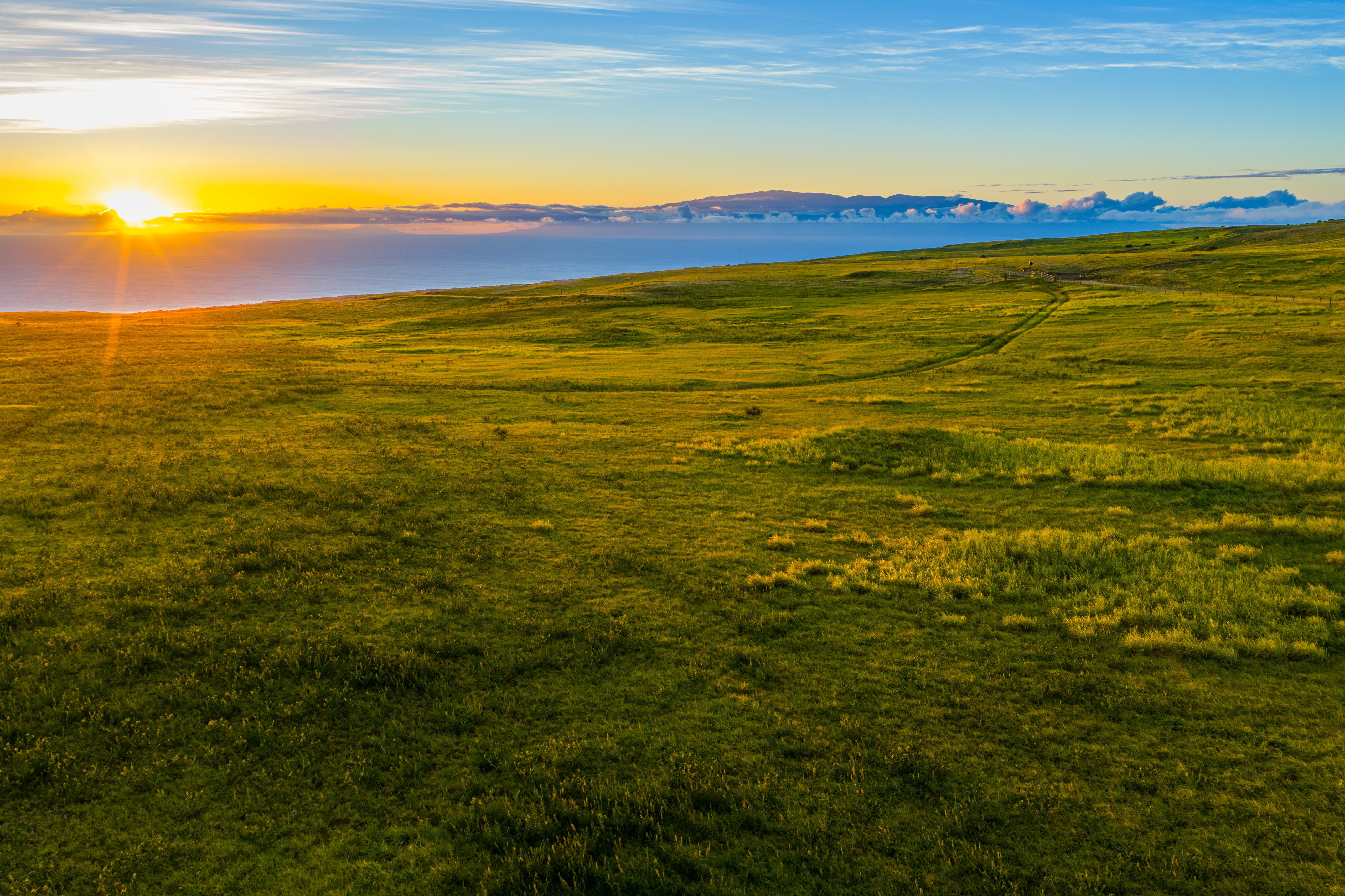  695 Ualani Pl, Kamuela, HI, 96743 - 物件實景
