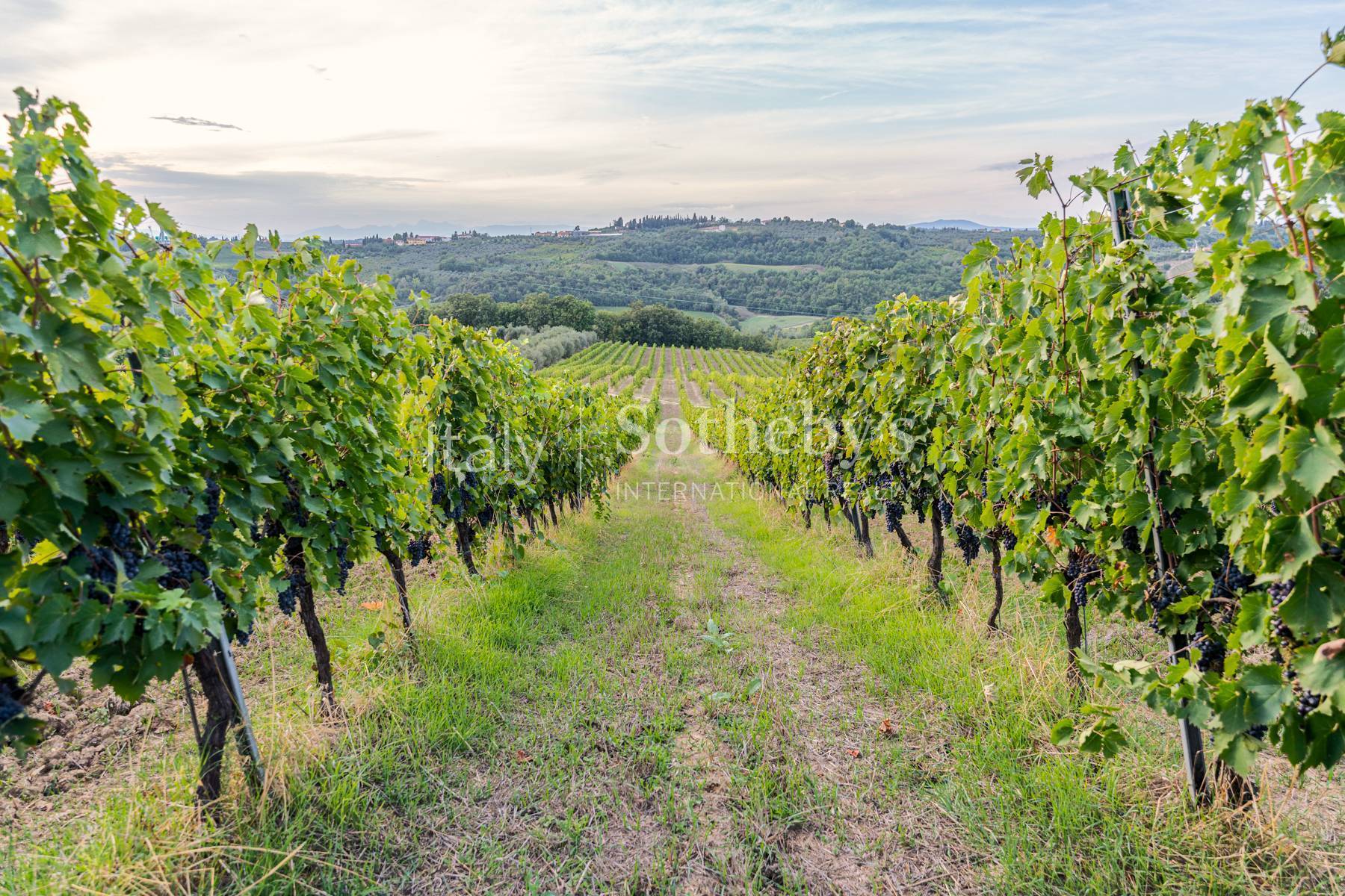  Exceptional 300 hectares hunting and wine estate - 物件實景