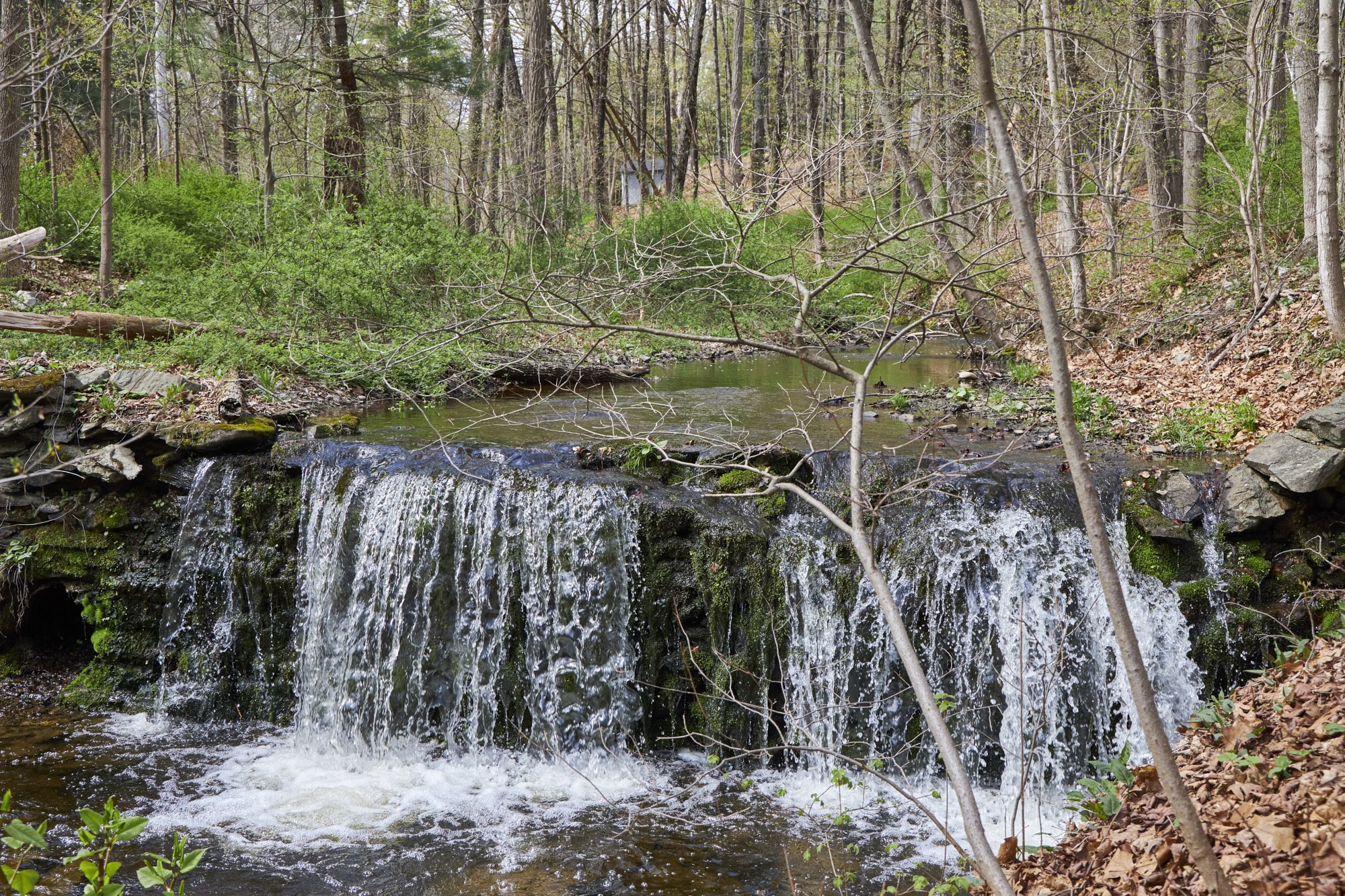  457 Round Lake Road, Rhinebeck, NY, 12572 - 物件實景