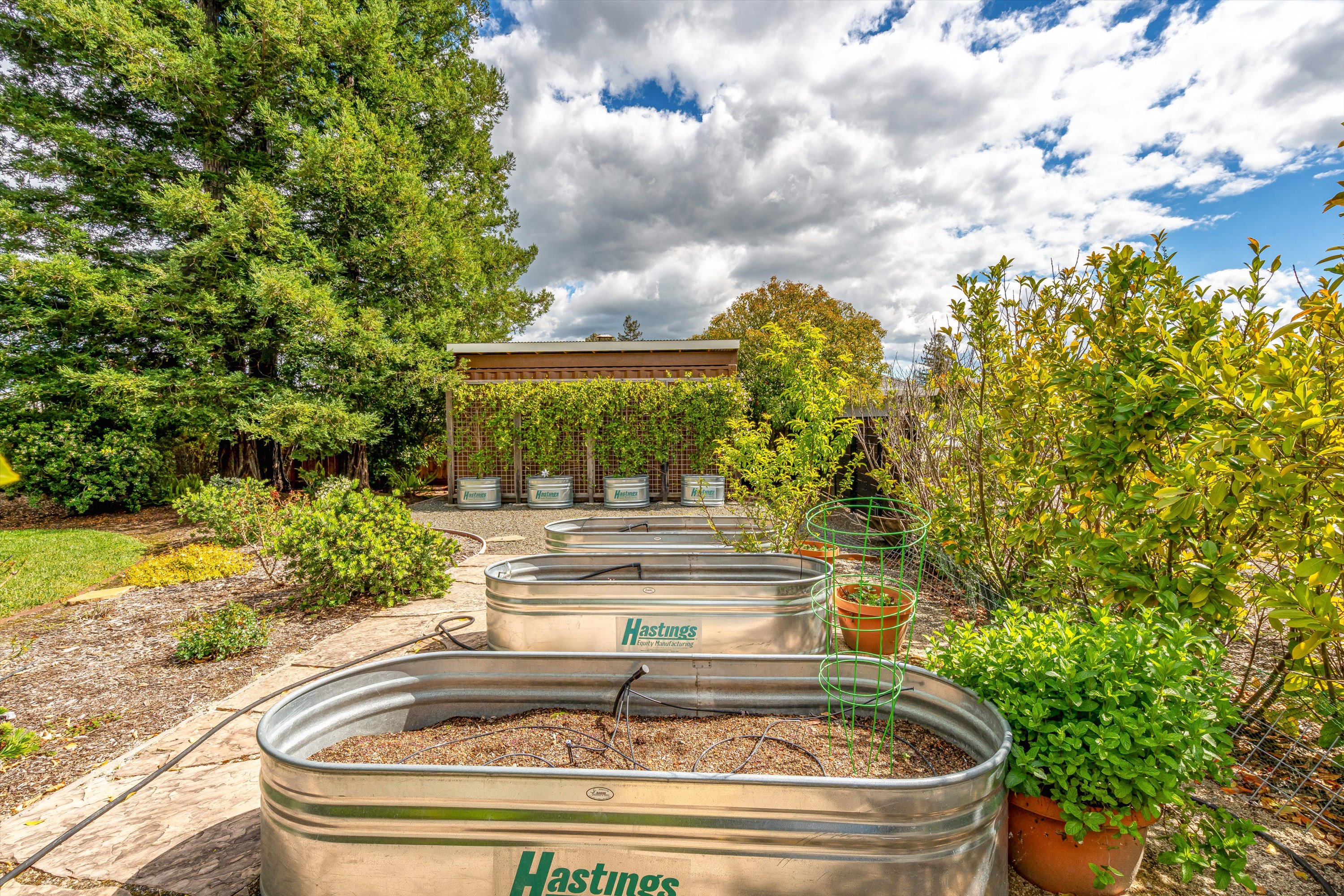  960 Lark Ave - 物件實景