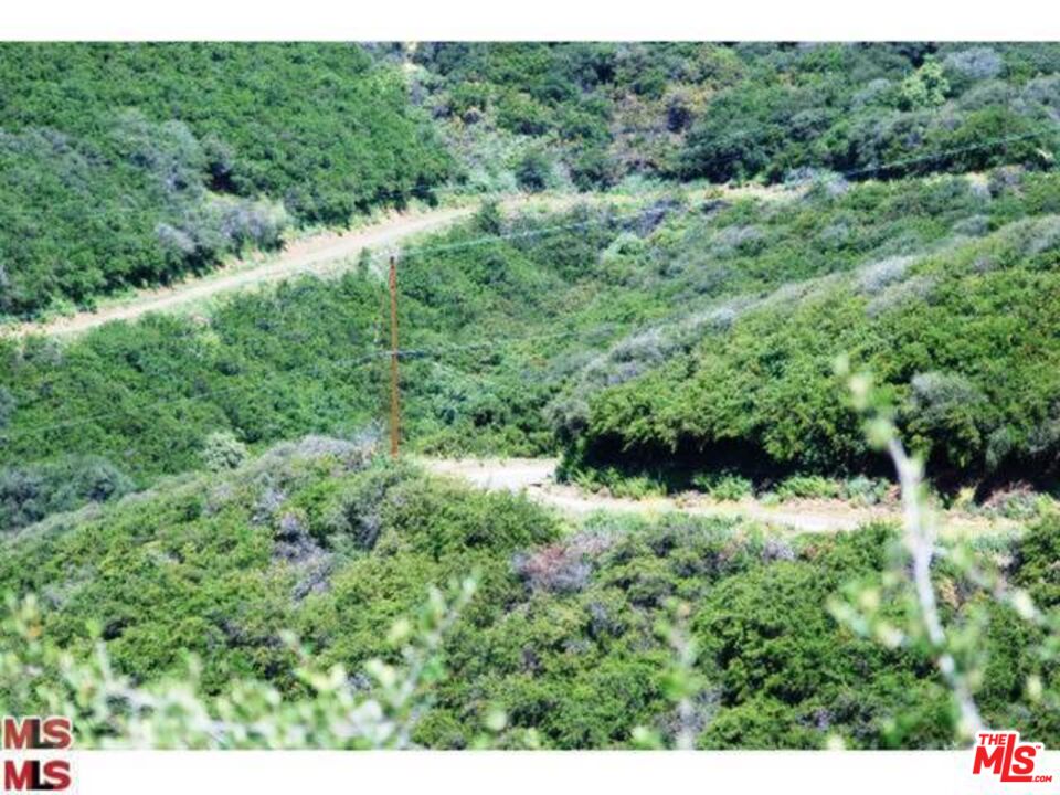 Malibu, California, 90265, United States, ,Land,For Sale,1767391
