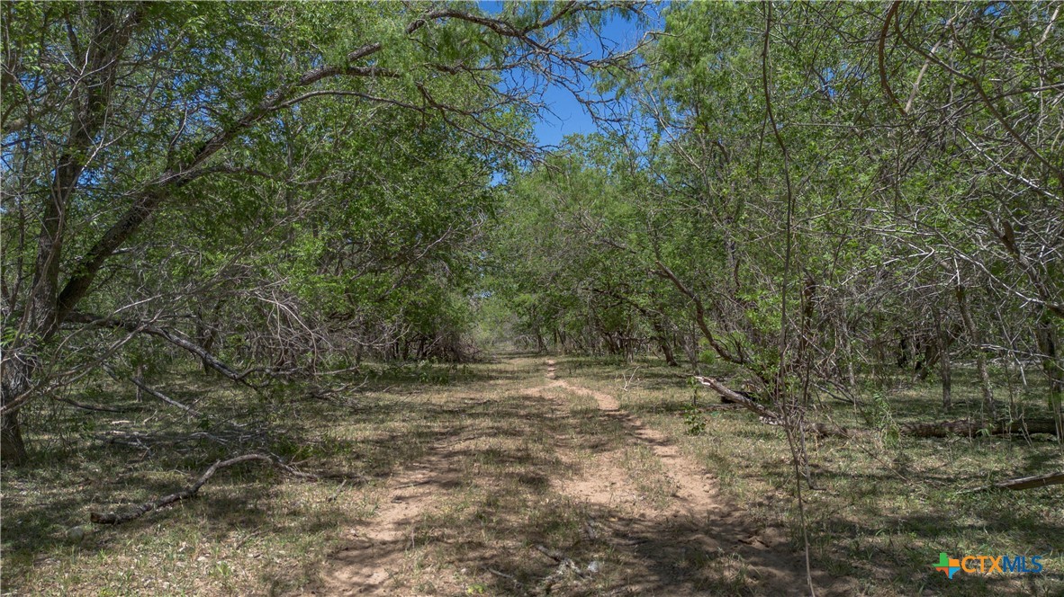 Seguin, Texas, 78155, United States, ,Land,For Sale,2048834