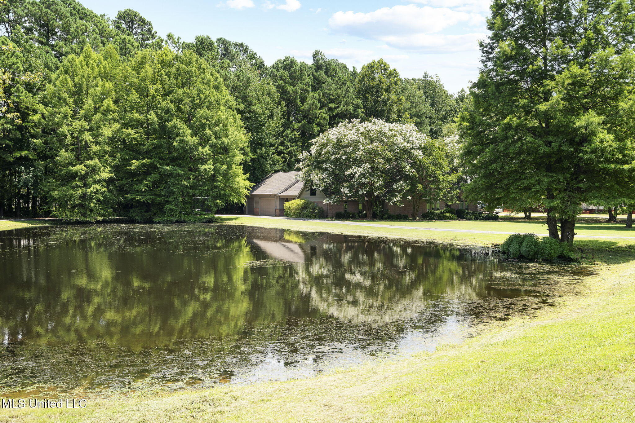 Olive Branch, Mississippi, 38654, United States, 5 Bedrooms Bedrooms, ,3 BathroomsBathrooms,Residential,For Sale,1898355