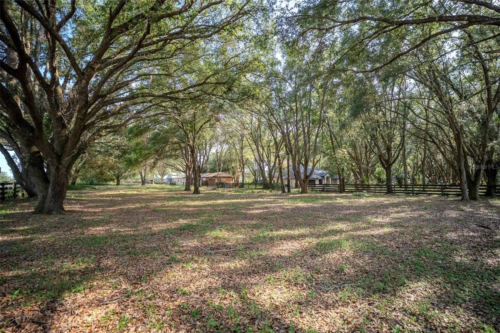 LADY LAKE, Florida, 32159, United States, 5 Bedrooms Bedrooms, ,3 BathroomsBathrooms,Residential,For Sale,1850305