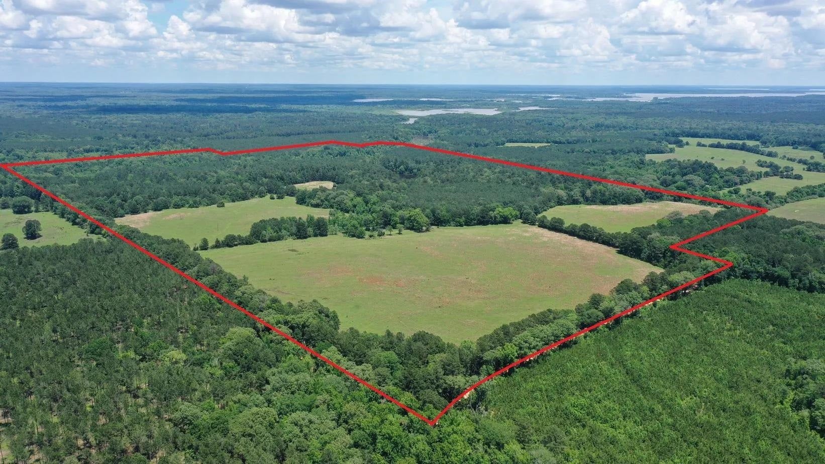 Douglassville, Texas, 75560, United States, ,Land,For Sale,2048006