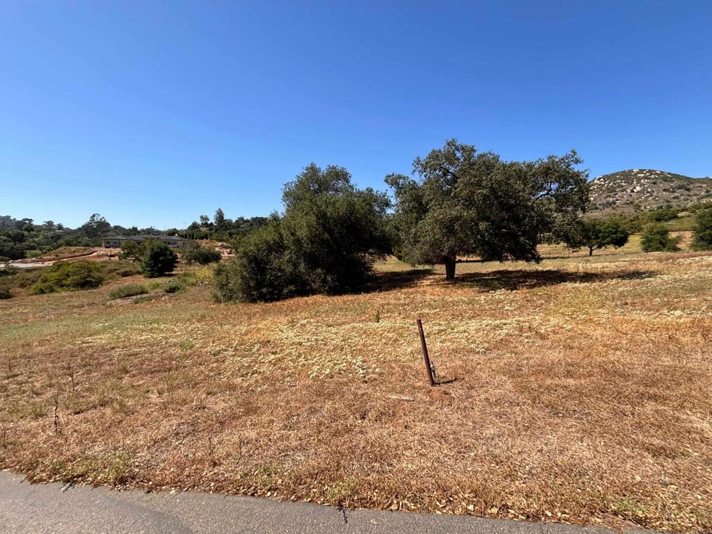 0 Jesmond Dene Road, Escondido, California, 92026, United States, ,Land,For Sale,0 Jesmond Dene Road,1617081
