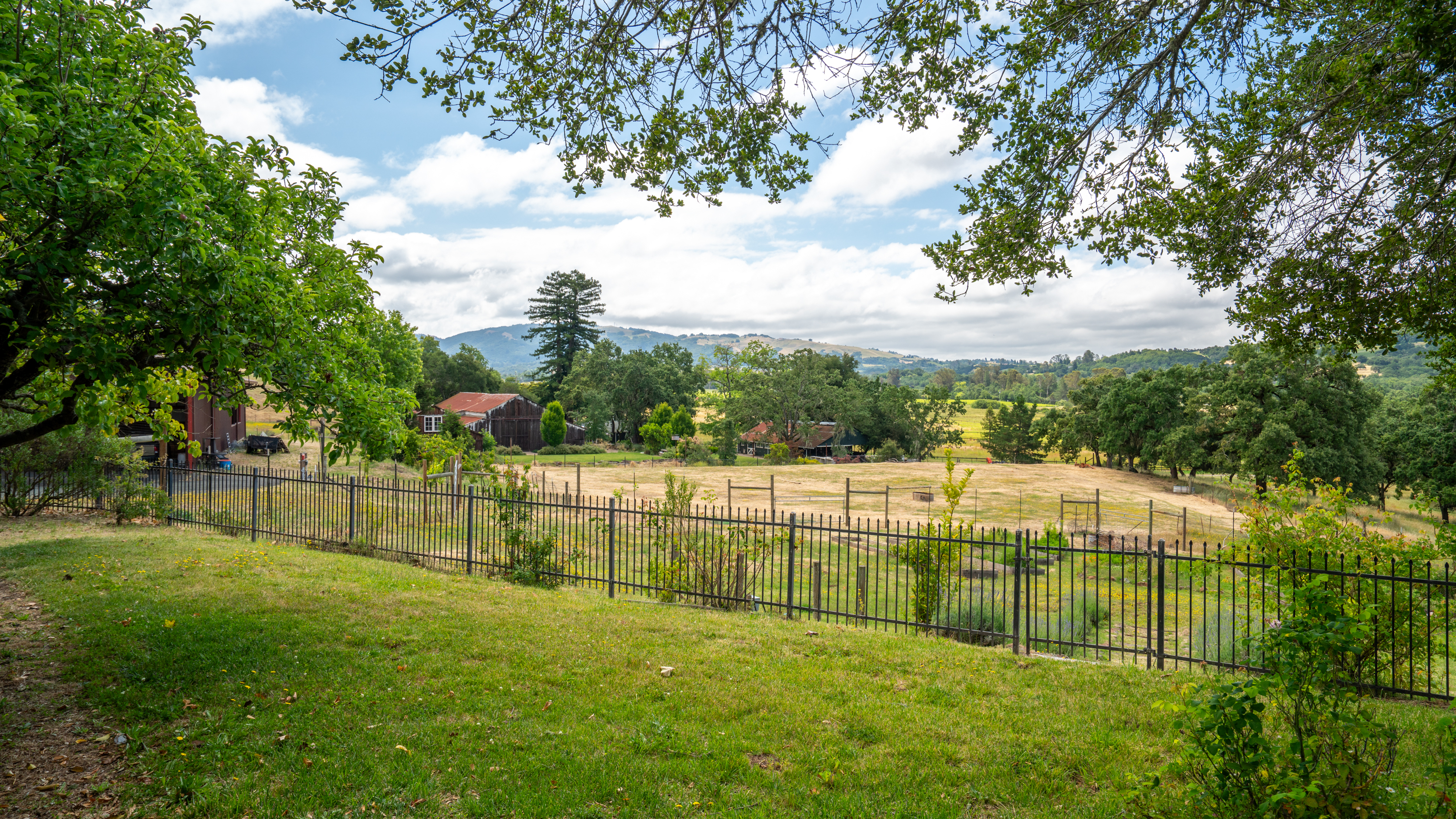  Exceptional Bennett Valley Country Estate - 物件實景