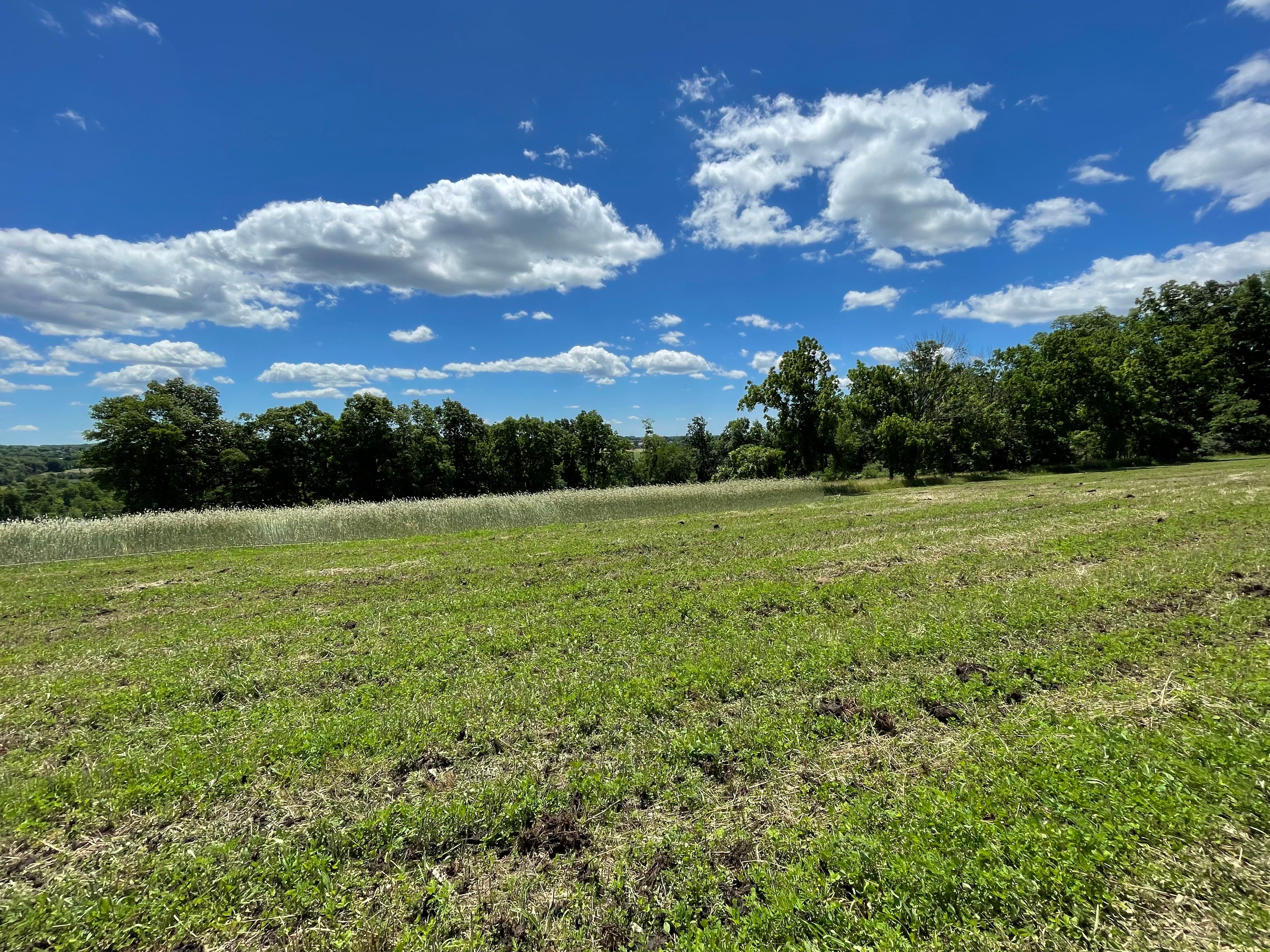  4099 Curly Hill Road, Doylestown, PA 18902 - 物件實景