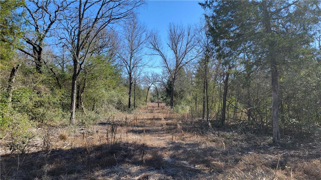 Franklin, Texas, 77856, United States, 4 Bedrooms Bedrooms, ,3 BathroomsBathrooms,Residential,For Sale,1928419