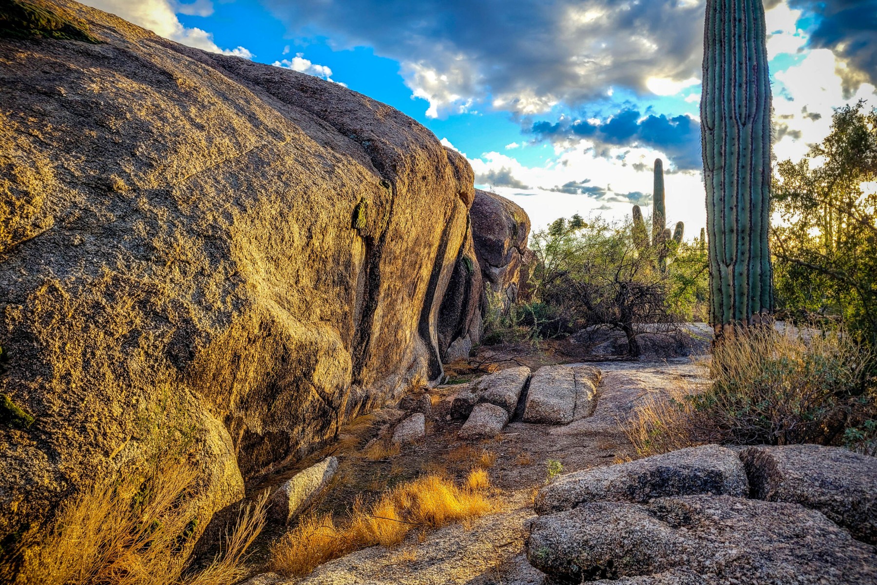  27777 N 95th Street  Scottsdale, AZ - 物件實景