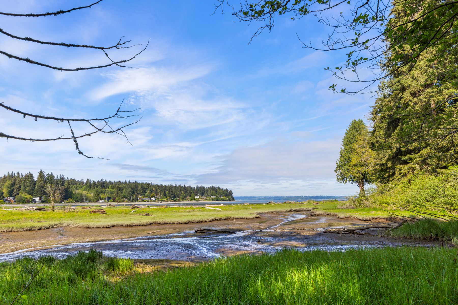  9720 NE Lofgren Rd, Bainbridge Island, WA 98110 - 物件實景