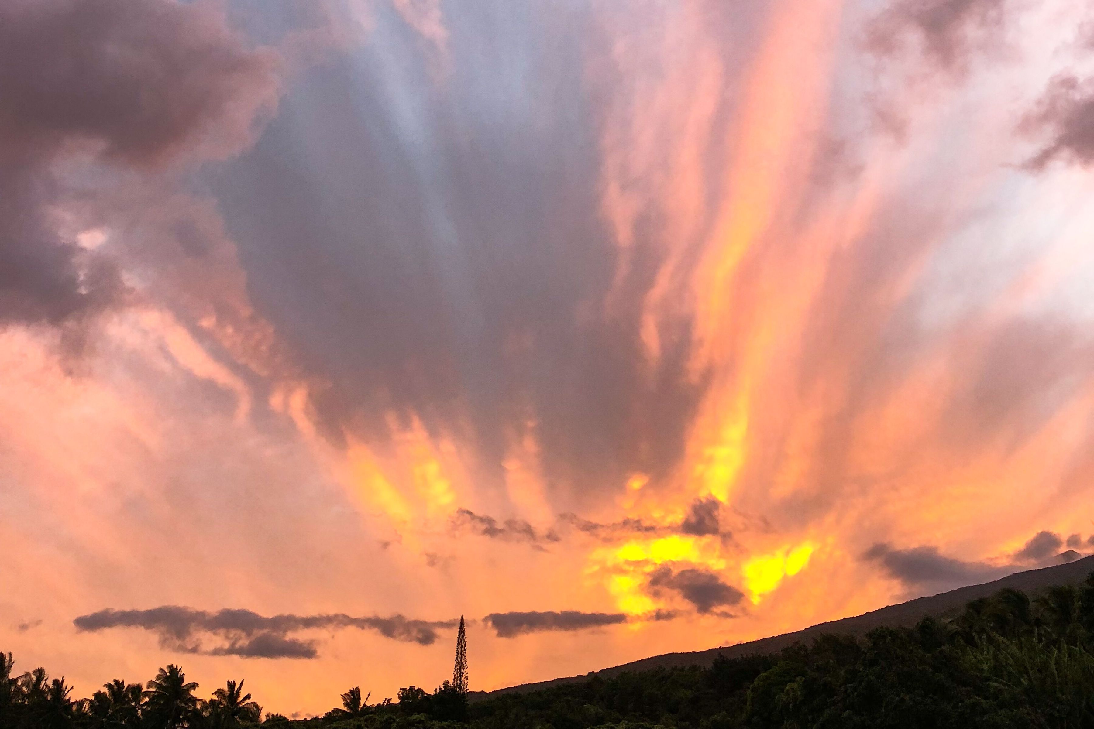  Tropical Escape Over 54 Acres, Breathtaking Ocean Views - 物件實景