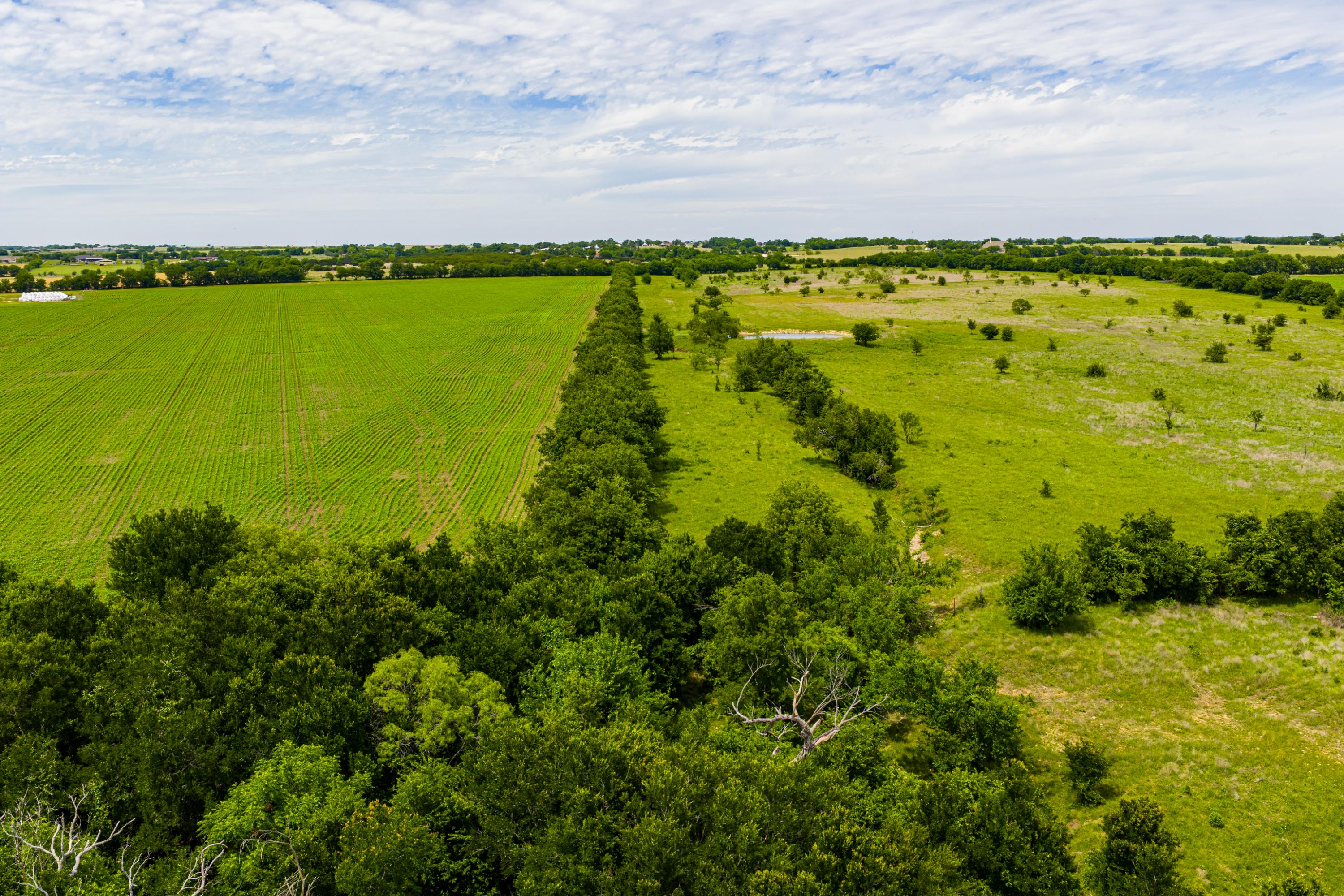  667 Acre Development Property With Two Miles Of Highway Frontage - 物件實景