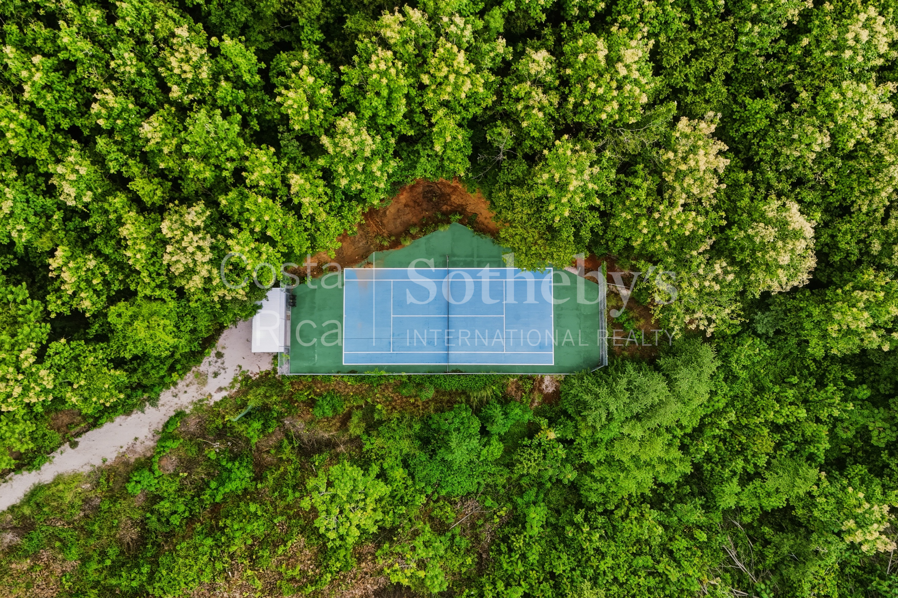  Hospitality Ocean view Property - 物件實景