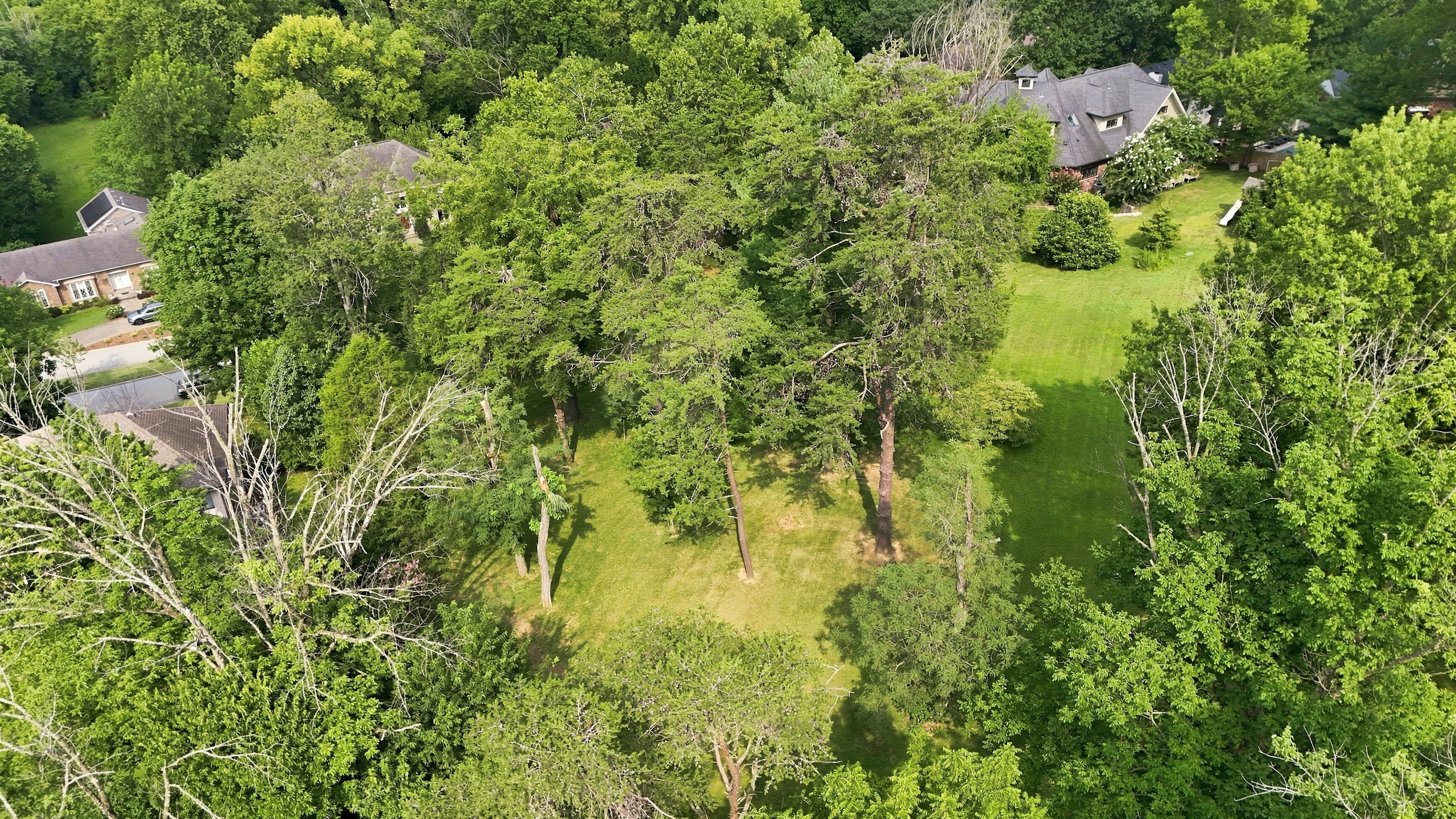  1510 Sylvan Way, Louisville, KY 40205 - 物件實景