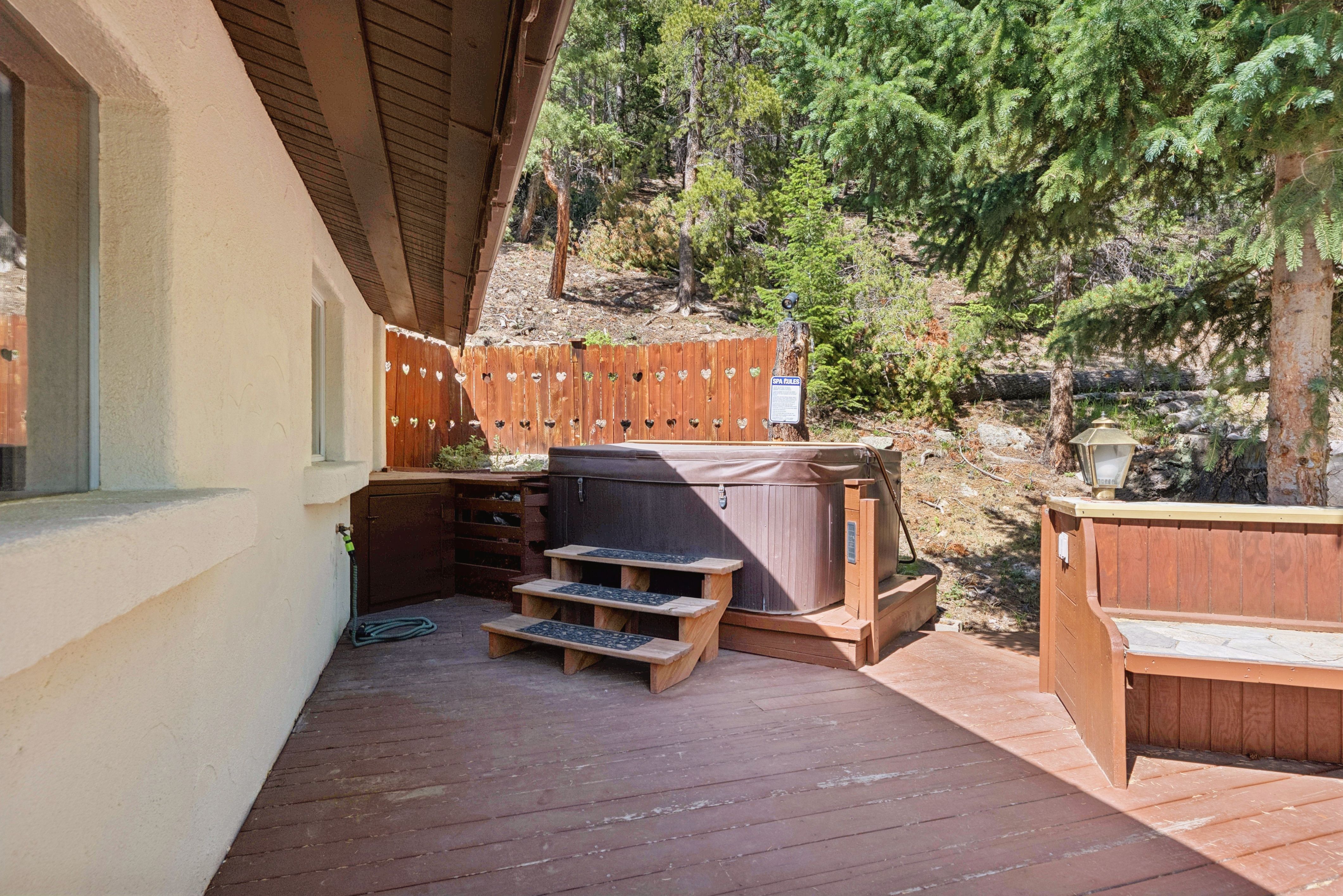  Mountain Chalet on Almost 8 Acres - 物件實景