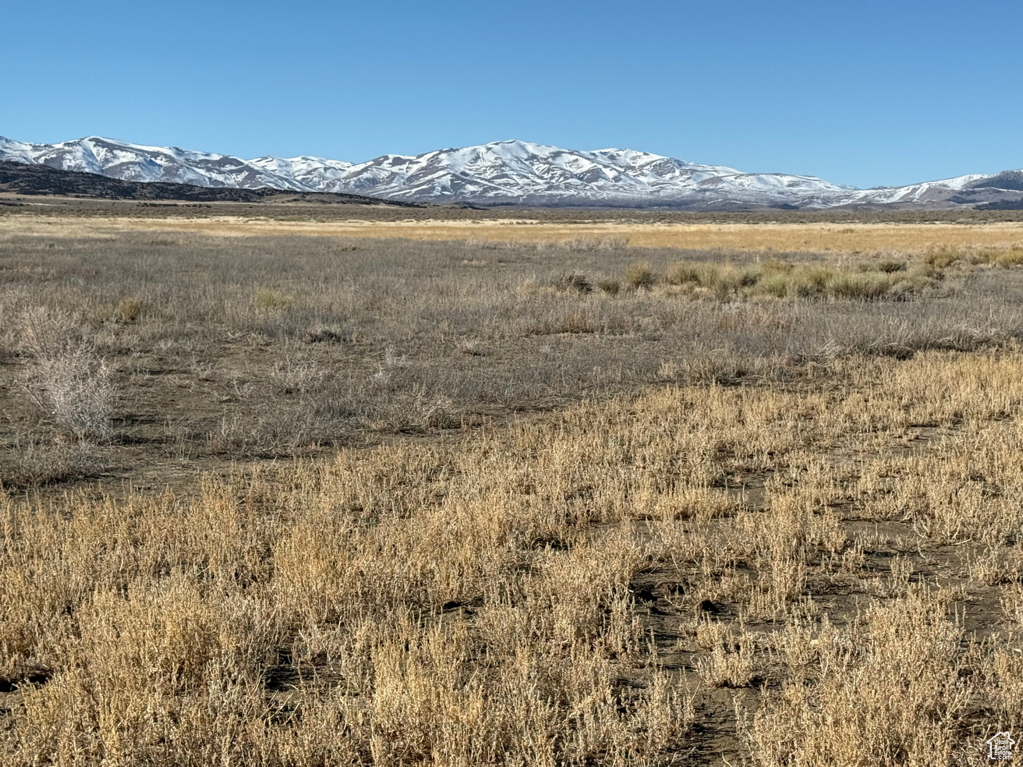 Park Valley, Utah, 84329, United States, ,Land,For Sale,1882391