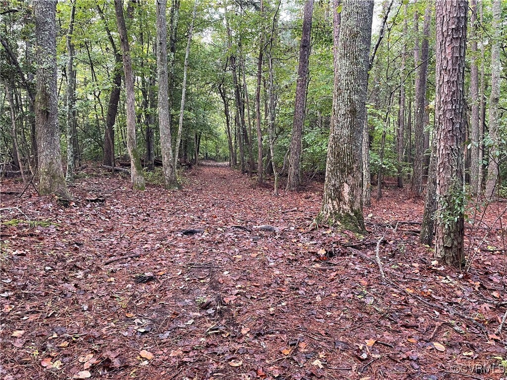 1105 Stewarts Road, Lanexa, Virginia, 23089, United States, ,Land,For Sale,1105 Stewarts Road,1632390