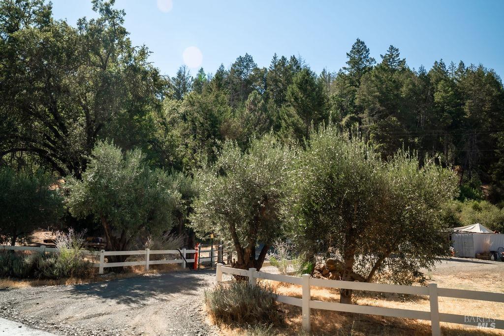 St. Helena, California, 94574, United States, ,Residential,For Sale,1846631