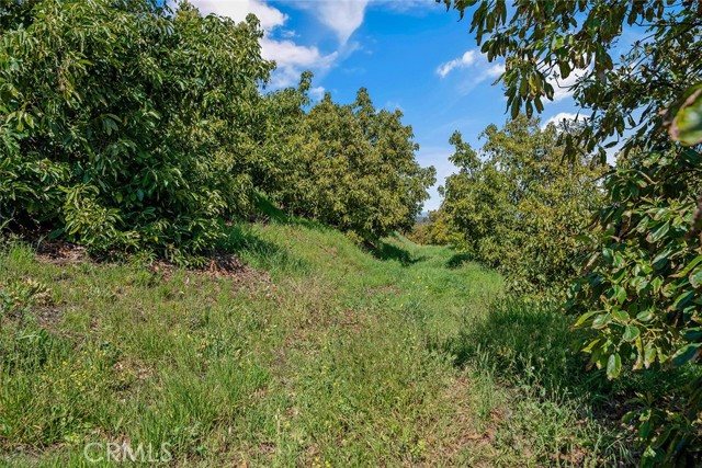 Temecula, California, 92590, United States, ,Land,For Sale,1981678