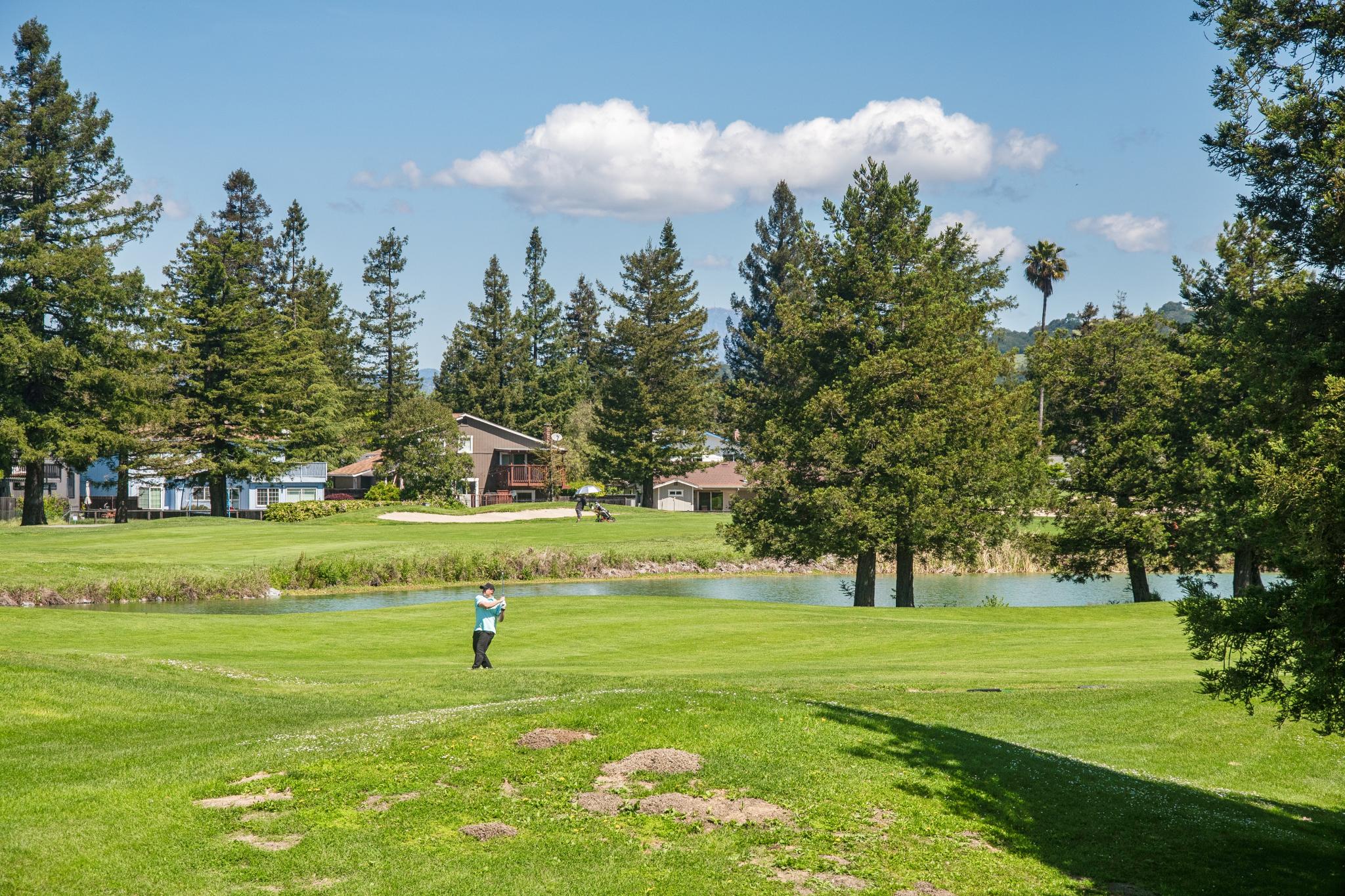  On The Green Above It All - 物件實景