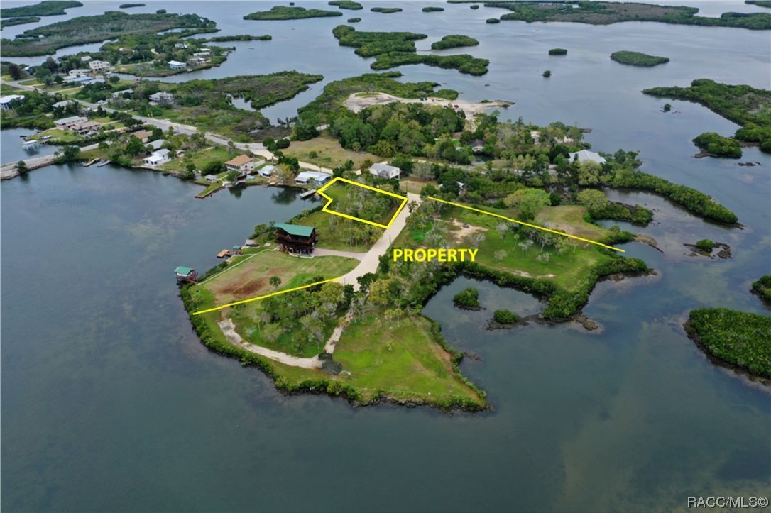 Crystal River, Florida, 34429, United States, ,Land,For Sale,1975053