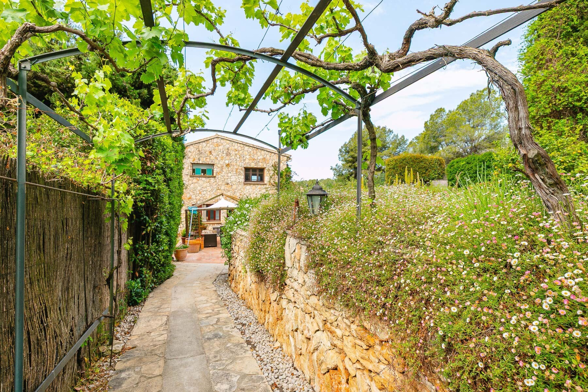  Mediterranean country house in Sant Pere de Ribes close to Sitges - 物件實景