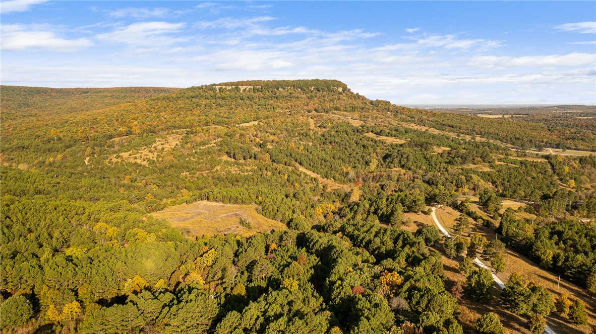 Harrison, Arkansas, 72601, United States, ,Land,For Sale,1903460
