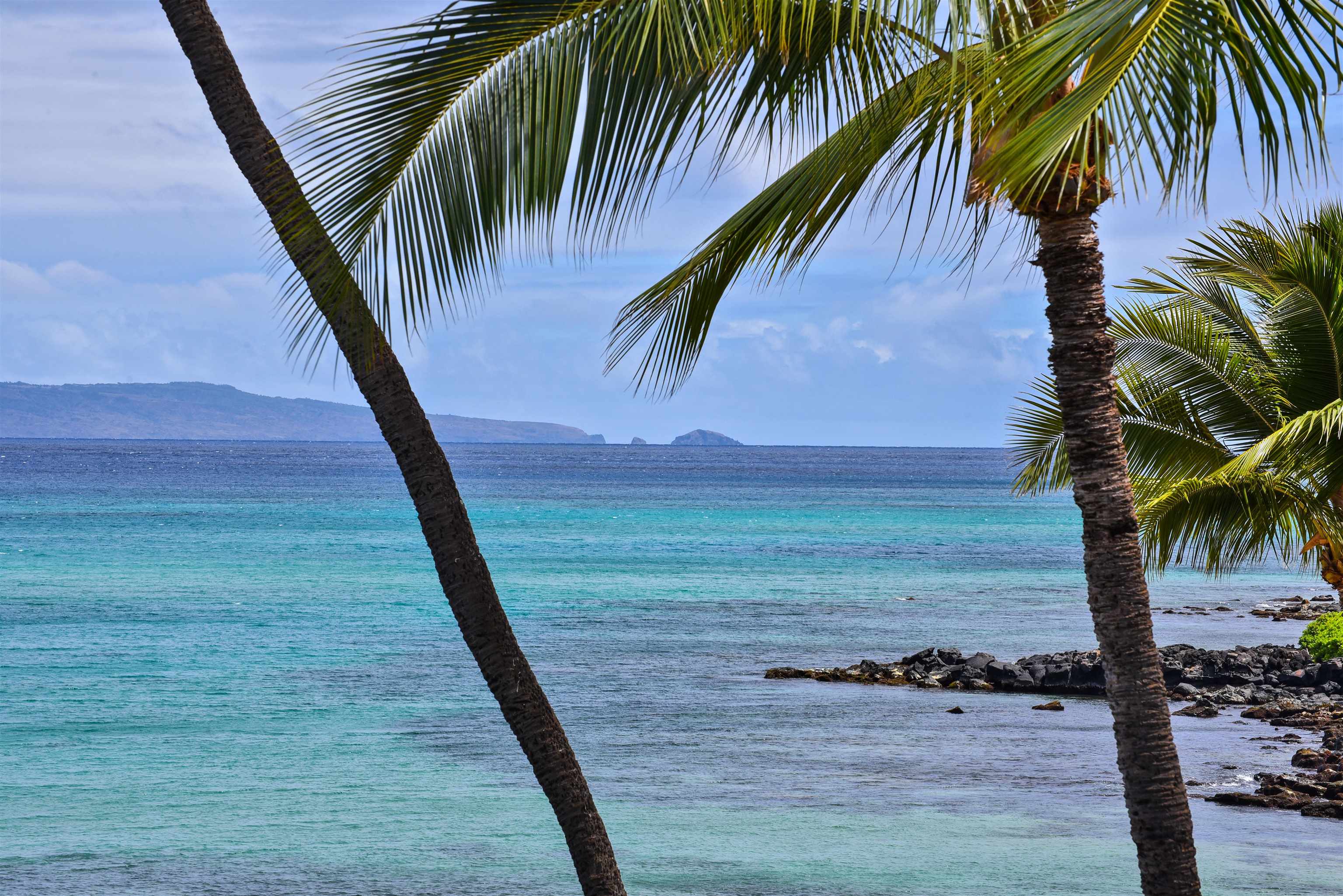 Lahaina, Hawaii, 96761, United States, 1 Bedroom Bedrooms, ,1 BathroomBathrooms,Residential,For Sale,1891036